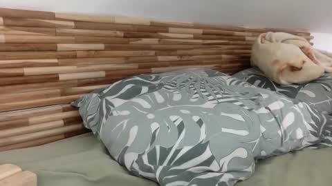 mamattv online show from 12, 1, 2026