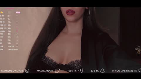 Snapshot of mamiemeow chatting on 5, 2, 2025 Your Miss Alice online show from 5, 2, 2025