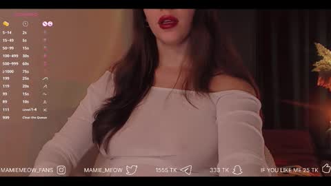 Snapshot of mamiemeow chatting on 21, 11, 2025 Your Miss Alice online show from 21, 11, 2025