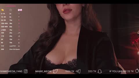 Snapshot of mamiemeow chatting on 28, 11, 2025 Your Miss Alice online show from 28, 11, 2025