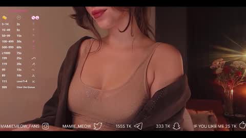 Snapshot of mamiemeow chatting on 2, 12, 2025 Your Miss Alice online show from 2, 12, 2025