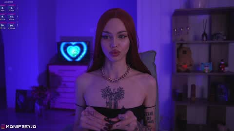 Snapshot of manifreyja chatting on 16, 12, 2024 Amelie online show from 16, 12, 2024