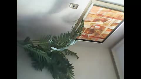 manu_481 online show from 7, 3, 2025