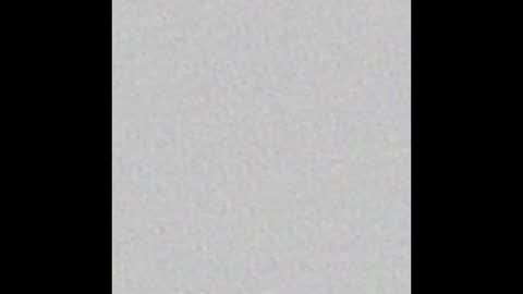 Maple online show from 6, 2, 2025