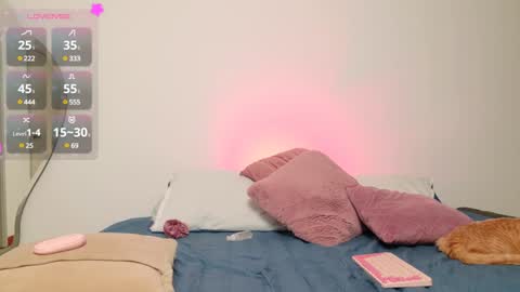     online show from 11, 1, 2025