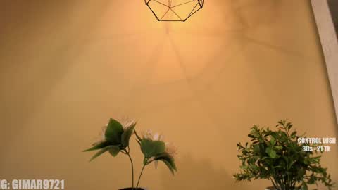 Marcela online show from 11, 9, 2025