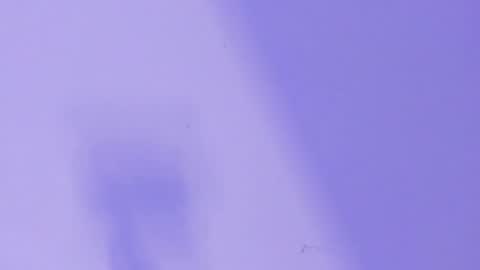 MARCELO online show from 26, 1, 2025