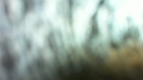 Marc online show from 26, 3, 2026