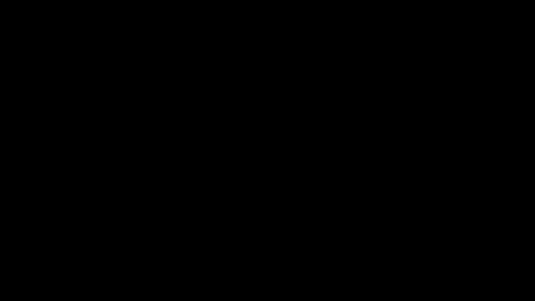 Snapshot of margolane chatting on 19, 10, 2025 Elle online show from 19, 10, 2025