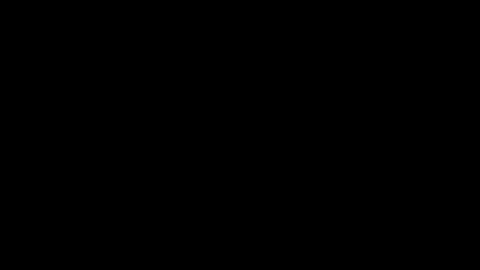 Snapshot of margolane chatting on 29, 11, 2025 Elle online show from 29, 11, 2025