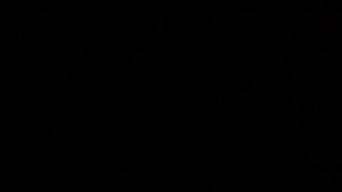 Snapshot of margolane chatting on 4, 12, 2025 Elle online show from 4, 12, 2025