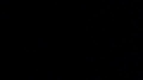 Snapshot of margolane chatting on 18, 12, 2025 Elle online show from 18, 12, 2025