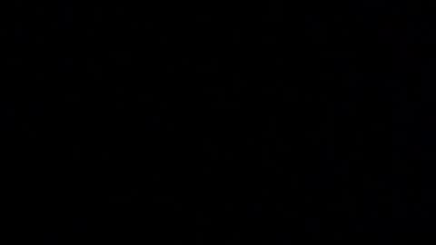 Snapshot of margolane chatting on 8, 1, 2026 Elle online show from 8, 1, 2026