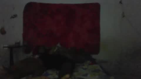 Snapshot of mariaevamotta5 chatting on 1, 2, 2026 casal delicia online show from 1, 2, 2026