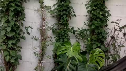 Snapshot of mariposaposa chatting on 5, 8, 2026 Jordana online show from 5, 8, 2026