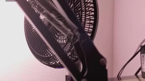 marla online show from 12, 3, 2026