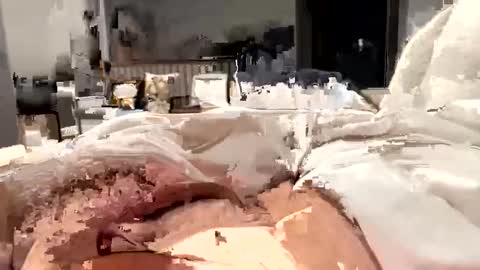 marriedthickdick37 online show from 12, 2, 2025