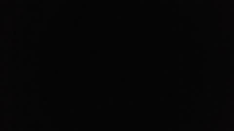 marsupilami_82_ online show from 21, 10, 2025