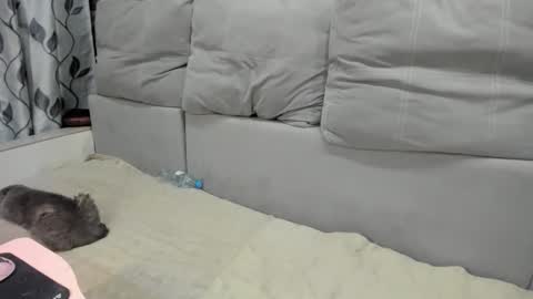 martaandserg online show from 7, 4, 2026