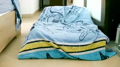 Snapshot of martinas_fantasies chatting on 12, 10, 2025 Play with me I obey I promise online show from 12, 10, 2025