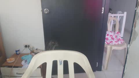 maryam_arabicmilk online show from 8, 1, 2025