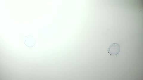 MashaPink online show from 7, 4, 2026