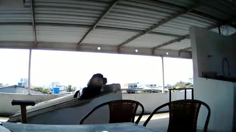 Master Cospi online show from 14, 2, 2025