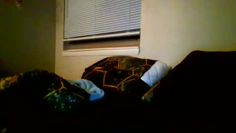 alex online show from 12, 1, 2025