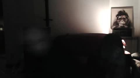 mat11efou online show from 8, 3, 2025