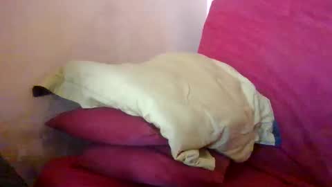 Snapshot of matricule4246 chatting on 12, 4, 2026 joyaam79 online show from 12, 4, 2026