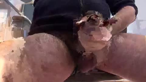 matt online show from 9, 1, 2026