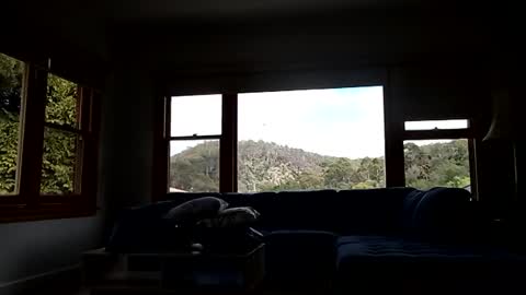 Snapshot of mattlesnake_101 chatting on 15, 2, 2026 mattlesnake_101 online show from 15, 2, 2026