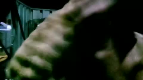 mattlesnake_101 online show from 18, 4, 2026