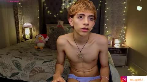 Snapshot of matty_spark chatting on 15, 12, 2025 matty_spark online show from 15, 12, 2025