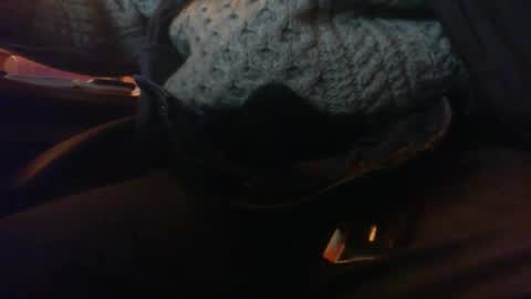 Snapshot of maturedaddi chatting on 3, 1, 2025 Maturedaddi online show from 3, 1, 2025