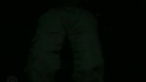 Lira online show from 15, 1, 2026