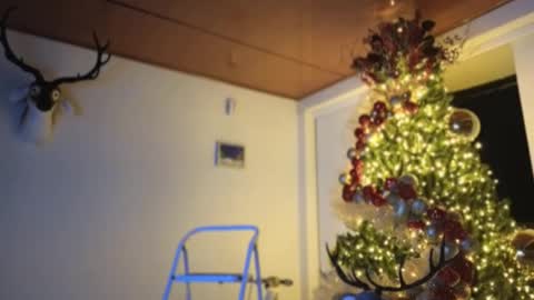 Sebastian online show from 3, 12, 2024