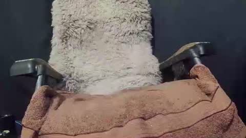 Max online show from 8, 1, 2025