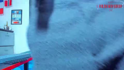 MAX online show from 20, 9, 2025