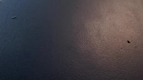 Snapshot of maxwellandpam chatting on 29, 1, 2025 Max and Pam Voyeur Cam online show from 29, 1, 2025