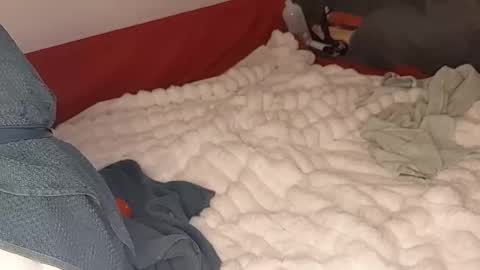 maybeanal online show from 12, 10, 2025