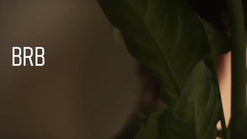 Snapshot of maymary_ chatting on 28, 12, 2024 Mary . online show from 28, 12, 2024