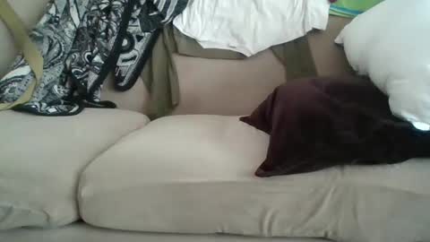 yung n hung online show from 8, 2, 2025