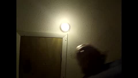 Snapshot of meaderd740870 chatting on 14, 2, 2026 meaderd740870 online show from 14, 2, 2026