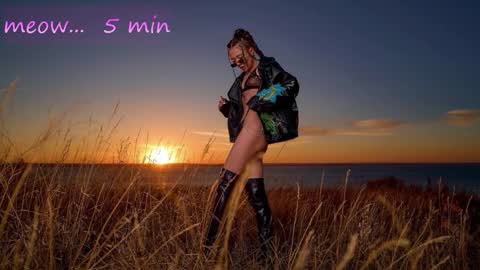 Sweet Meow nonude online show from 31, 10, 2025