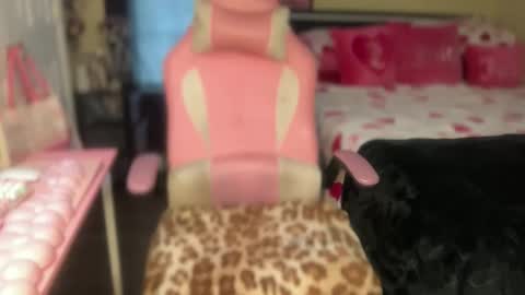 Snapshot of meetsouthernpeach chatting on 17, 3, 2026 Southern Peach online show from 17, 3, 2026