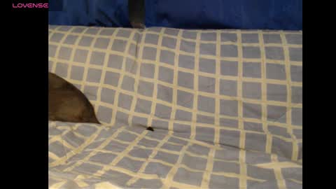 Snapshot of meg4nmiau chatting on 19, 2, 2025 Meg4n Miauuuu online show from 19, 2, 2025