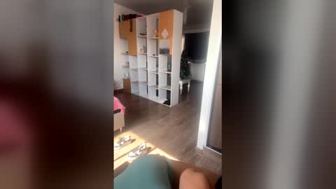 Snapshot of megaan0 chatting on 16, 12, 2025 sofi online show from 16, 12, 2025