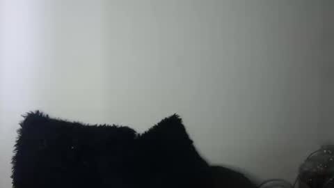 Megan and sophi online show from 19, 9, 2025