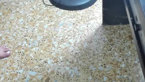 Megan online show from 1, 2, 2025